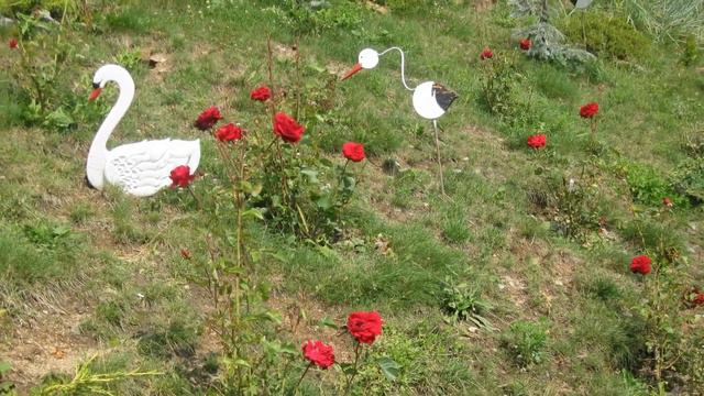 Биолит 25 лет 4 смотреть онлайн