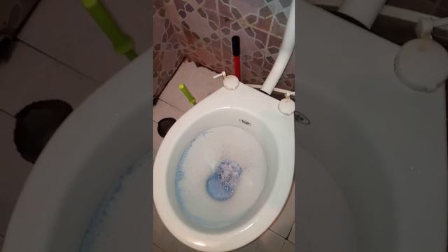 Cleaning your toilet bowl with CHEMOPLUS ORIGINAL TOILET RENOVATOR смотреть онлайн