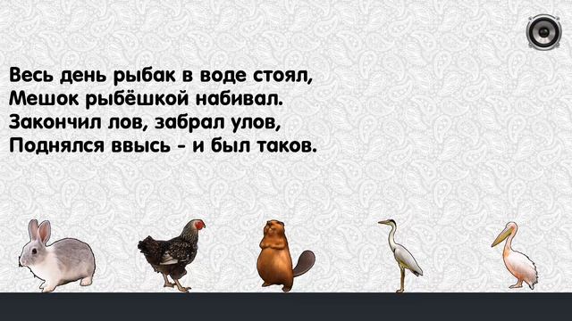 Загадки про животных смотреть онлайн