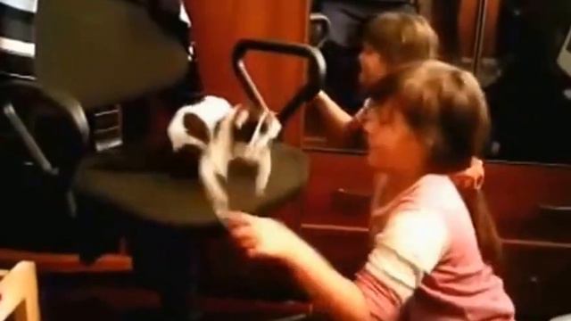 кот на стуле смотреть онлайн