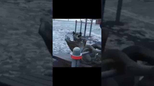ДОЛЯ РЕПЕТИТОРСКАЯ #врек смотреть онлайн