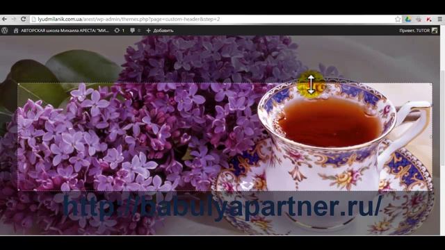 Фон и картинка в заголовке на сайте WordPress - меняем! смотреть онлайн