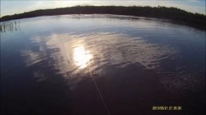 База 177 Часть 4 из 4х