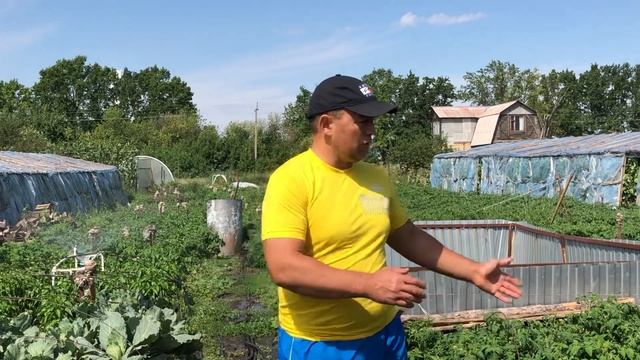 Как открыть свой бизнес выращивая на своём участке овощи или рассаду различных культур ????? смотреть онлайн