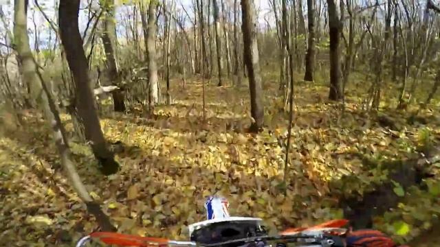 эндуро покатушка в "лес чудес" смотреть онлайн