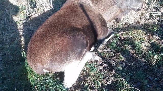 14.11.22. #красоткасохо все, что вы хотели знать о красоте, но боялись спросить! смотреть онлайн