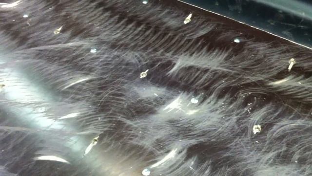 Купил я сани волокуши в BIKE18.ru)))