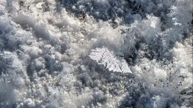 Прогулка к уткам. Кристаллические цветы - Кемерово смотреть онлайн