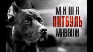 Миша Маваши-Московский озорной гуляка (стих С.А.Есенин)