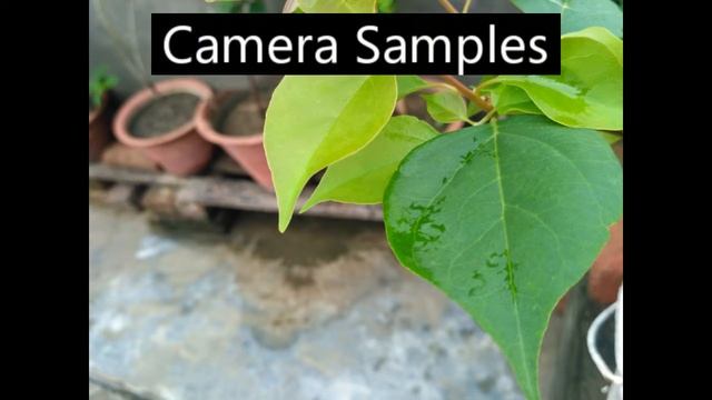Xiaomi Redmi 3s India Pros & Cons | Camera Samples [Slow Motion Captures] | TechFello смотреть онлайн