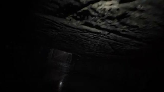 Прохождение Resident Evil 7: Biohazard#1 Пролог смотреть онлайн