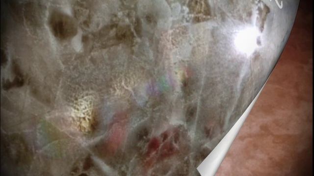 Декоративные покрытия премиум - сегмента CLARA RICHIE.