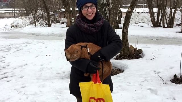 Кот впервые увидел снег смотреть онлайн