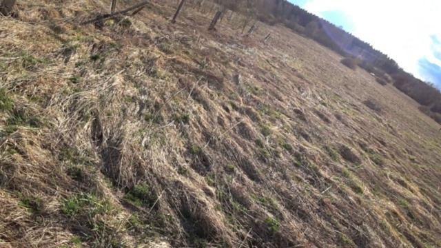 БУДНИ МЕТАЛЛОСБОРЩИКА | ЗА МЕТАЛЛОМ В ДЕРЕВНЮ |СКОЛЬКО ЗАРАБОТАЛ НА СДАЧЕ ЖЕЛЕЗА смотреть онлайн