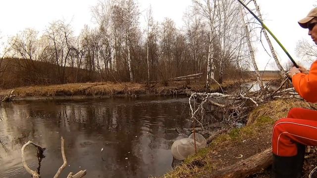 Короткая утренняя рыбалка В МИКРОРЕЧКЕ Камышинке на поплавочку. Пескари, плотва и карпа на кукурузу смотреть онлайн