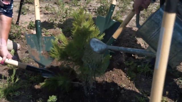 Циолковский - Королёв - Гагарин - ПУТЬ В БУДУЩЕЕ! ПОЕХАЛИ! смотреть онлайн