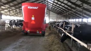 Новая инновационная молочная ферма КРС, 100 литров молока в день
