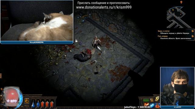 Path of Exile ► запись стрима #3 (19.09.2017) смотреть онлайн