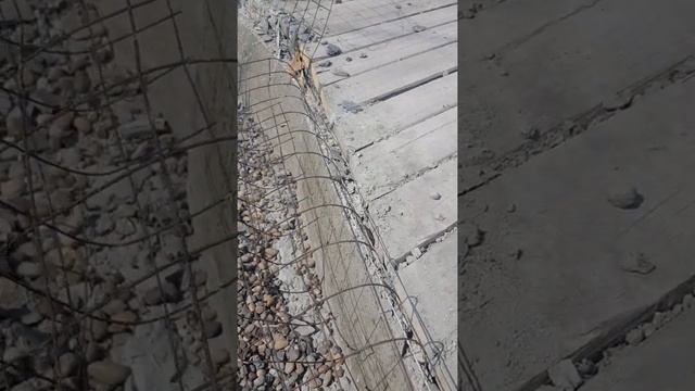 Берега в биоплато из АРТ бетона | Реконструкция биоплато | ПРУД ПРУДИ