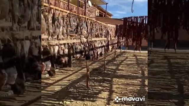 Готовим праздничный стол 