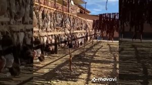 как Дагестане сушить мяса