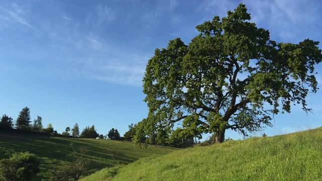 Music Sketch #40 "Dreamland" смотреть онлайн