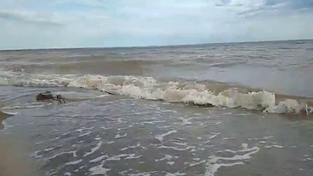 Лето отдых Маралды смотреть онлайн