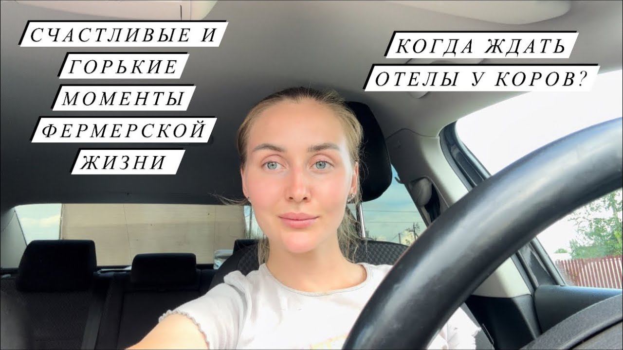 Наши деревенские будни! Уже 23 головы КРС в нашем хозяйстве! Отвезли Фиону к ветеринару! смотреть онлайн