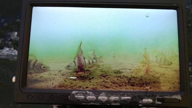 Подводная камера для рыбалки своими руками, самодельная смотреть онлайн