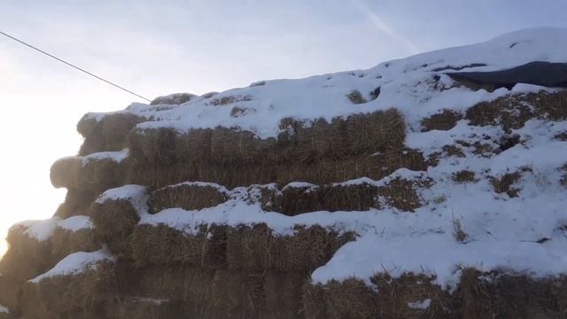 Солома, хороший строительный материал?.