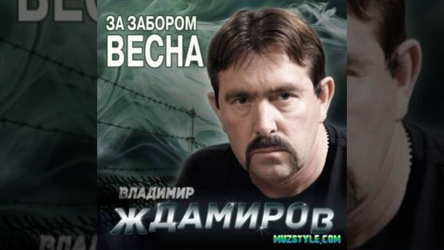 Владимир Ждамиров. Где же воля моя. (за забором весна2014) смотреть онлайн