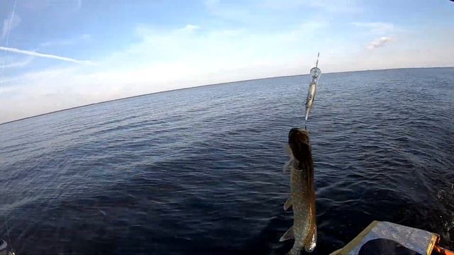 Ловля окуня и щуки на Ладоге. Креницы. Наконец наша стихия! смотреть онлайн