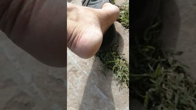 Очистка натоптышей на пятке, не выходя из гаража!!! смотреть онлайн