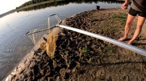 Ловим на ДОНКУ Резинку! СУДАК на живца. День рыбалки на реке Дон.