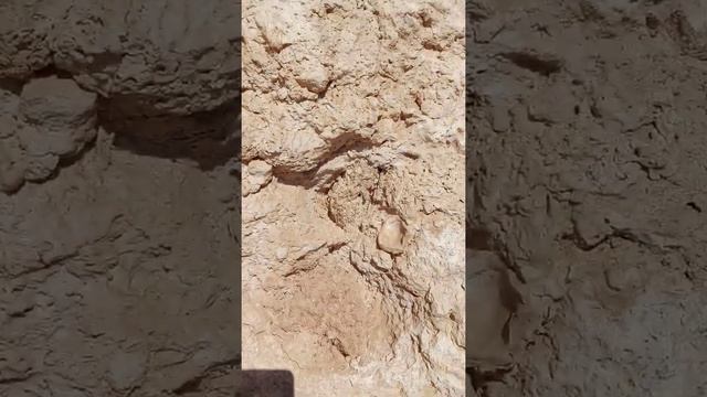 Берег Красного моря Шарм Аль Шейх 27.12.2021г смотреть онлайн