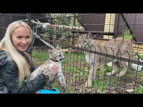 Пуменок Брэйдж приехал в гости к пуме Лондон первое знакомство