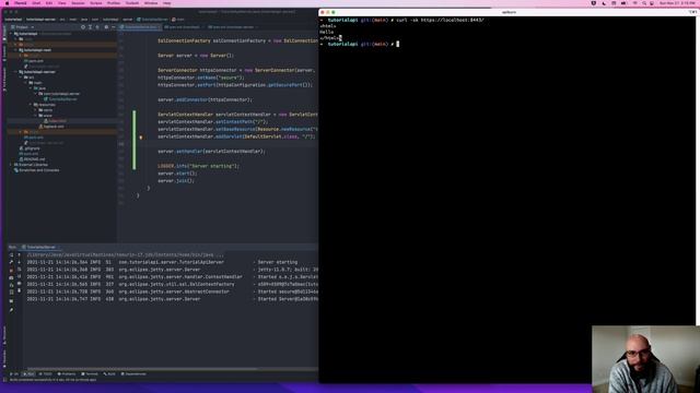 API Tutorial (Java) - Part 10: Jetty Servlets смотреть онлайн
