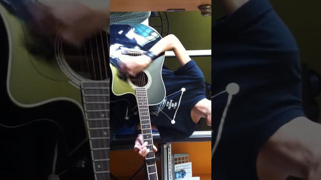 Eminem - Love the way you lie (Guitar Cover) смотреть онлайн