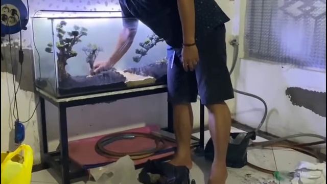 aquascape tema bonsai 1 meter. смотреть онлайн