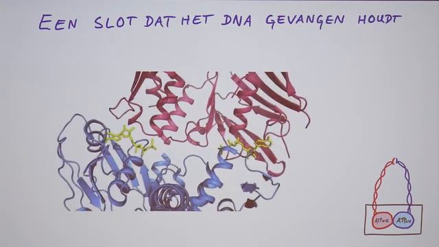 Wetenschap op Woensdag | Benjamin Rowland смотреть онлайн