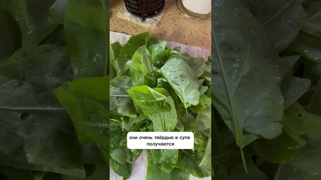 Щавелевый суп на воде.