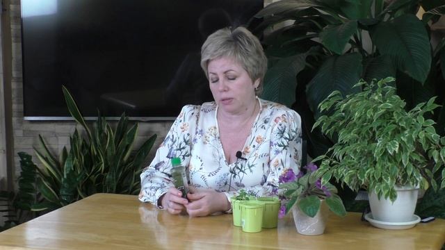 СУСПЕНЗИЯ ХЛОРЕЛЛЫ! КАК И ГДЕ ПРИМЕНЯТЬ, ЧТОБЫ ПОЛУЧИТЬ МАКСИМАЛЬНЫЙ ЭФФЕКТ!