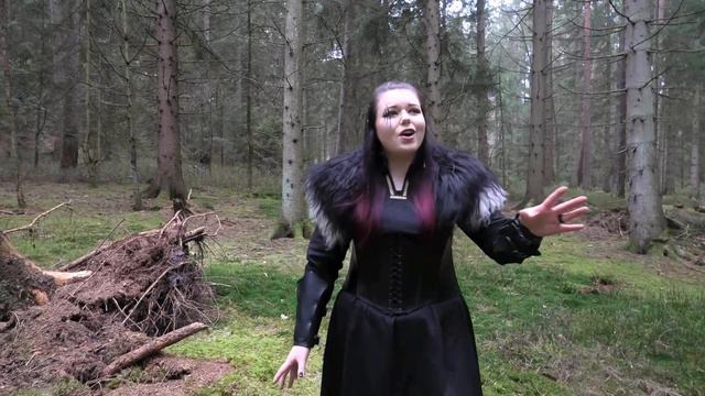 Miracle Of Sound - Valhalla Calling (Cover)