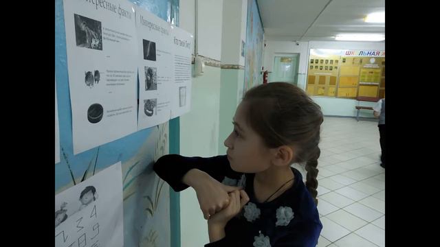 Начальная школа МБОУ Подольская СОШ смотреть онлайн