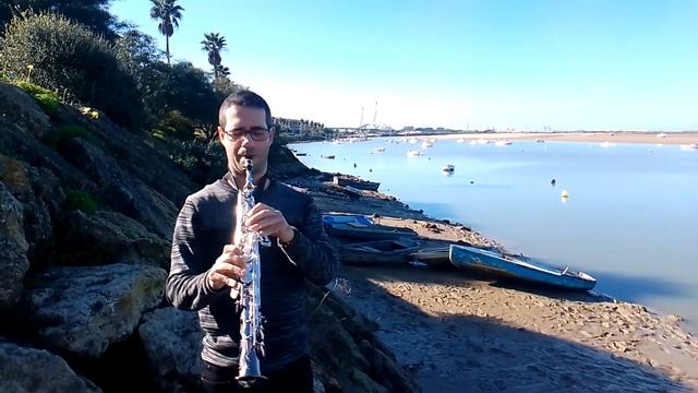 Bachata Rosa, cover de saxo por Jesús Rodas смотреть онлайн