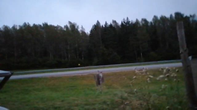 Хоббит Отшельник меня не встретил. Ехал ранним утром по Ярославке. Взял книги в его библиотеке. смотреть онлайн