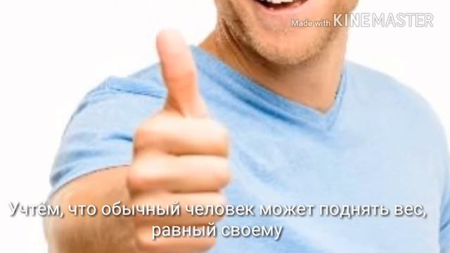 Что, если гориллы могли-бы качаться? | Ремпейдж в реальной жизни смотреть онлайн