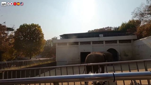 [BTS]?Father & V 's childhood story / V's hometown Dalseong Park in Daegu - Korea Walk Tour смотреть онлайн