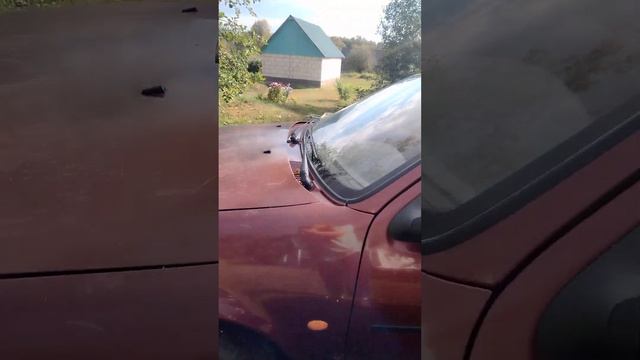 Ford fiesta 1997 смотреть онлайн