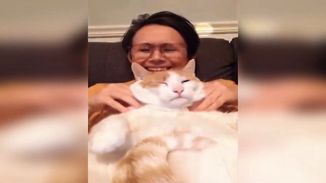 10 ПОРАЗИТЕЛЬНЫХ ФАКТОВ о КОТАХ. Самый маленький котик в мире. Смешные кошки и коты смотреть онлайн